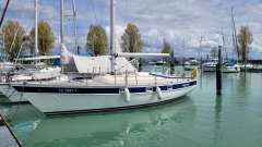 Hallberg-Rassy 312 Segelyacht