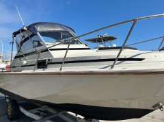 Boston Whaler Revenge 22