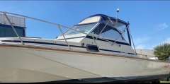Boston Whaler Revenge 22