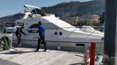Sealine F33