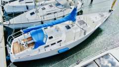 Feltz Skorpion II 2 Segelboot