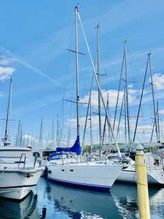 Feltz Skorpion II 2 Segelboot