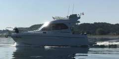 Starfisher ST 27 Fly Flybridge