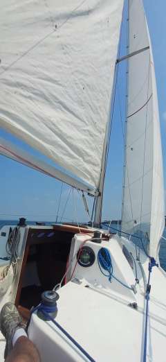 Santarelli Vivace MT 80