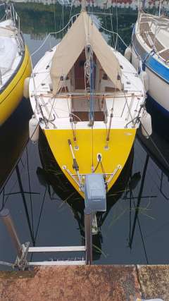 Santarelli Vivace MT 80