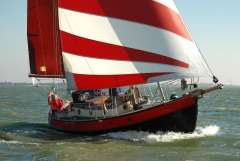 Danish Rose 31 Segelyacht