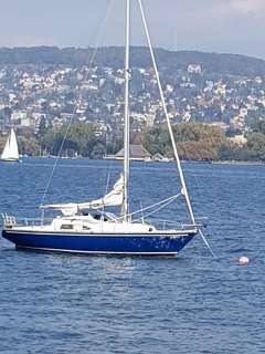 ACM Arpege Yacht à voile