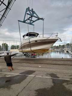 Chaparral Signature 250