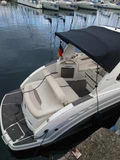 Chaparral Signature 250