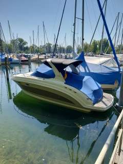 Chaparral Signature 250