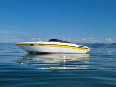 Chris Craft 245 LTD Sportboot