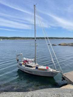 Reinke 12 M