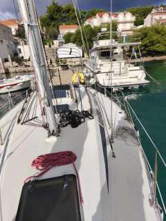 Elan 31/33