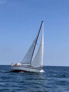 Henningsen & Steckmest Scalar 31