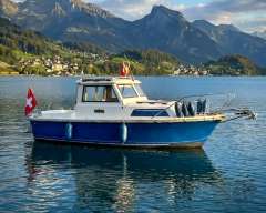 Hardy Regatta 19 Semicabinato