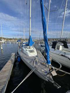 Albin Ballad MK III Nr.2013