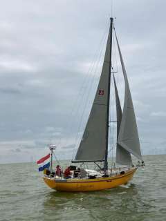 Tradewind 35
