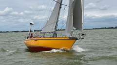 Tradewind 35