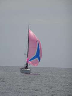 Beneteau First 36.7