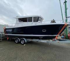 Sargo 31