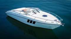 Windy 29 COHO Sportboot