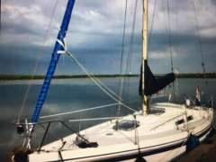 Contest 31 0