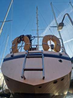 Contest 31 0