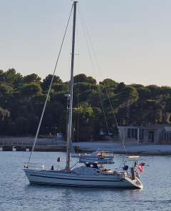 Sunbeam 44