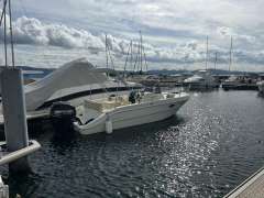 Mingolla 22WA Bateau à console