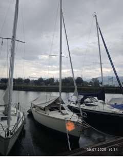 Jeanneau Tonic 23 Segelyacht