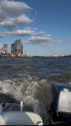 Hellwig Triton Junior