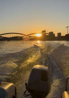 Hellwig Triton Junior