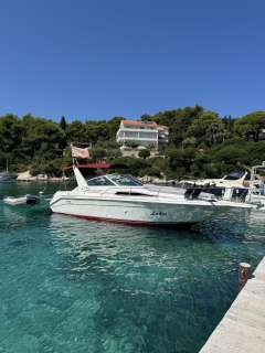 Sea Ray Sundancer 270/290