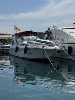 Sea Ray Sundancer 270/290