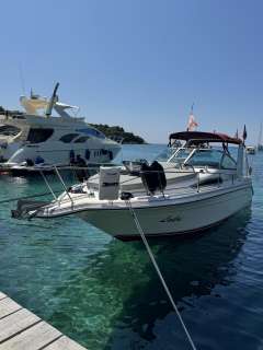 Sea Ray Sundancer 270/290