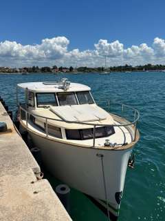 Greenline 33