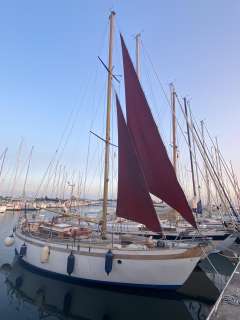 Saga 34 - Typ Collin Archer