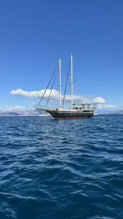 Pirat 53