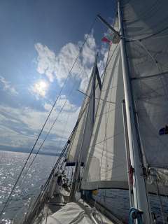 Pirat 53