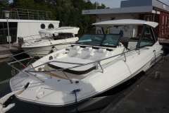 Sea Ray Sundancer 320