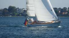 Illingworth & Primrose Belmore I