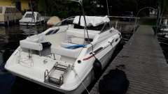 Sea Ray 230 DA