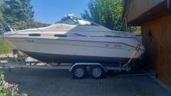 Sea Ray 230 DA