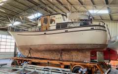 Albatros Kutter ( Motorsegler )