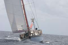 Koopmans Vanguard 11.50