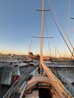 Koopmans Vanguard 11.50