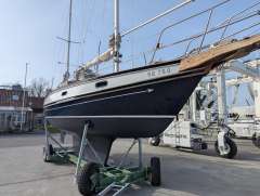 Center-Cockpit Regent