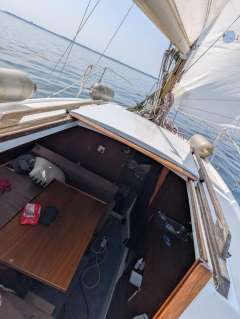 Neptun 26
