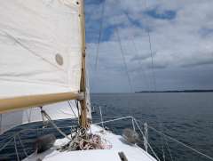 Neptun 26