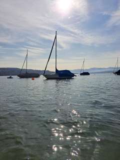 Lars Olsen Olsen L 23 Sailing yacht